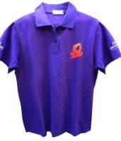 Aaron團體服設計工作室 獅子會 四角網眼PK  POLP杉  